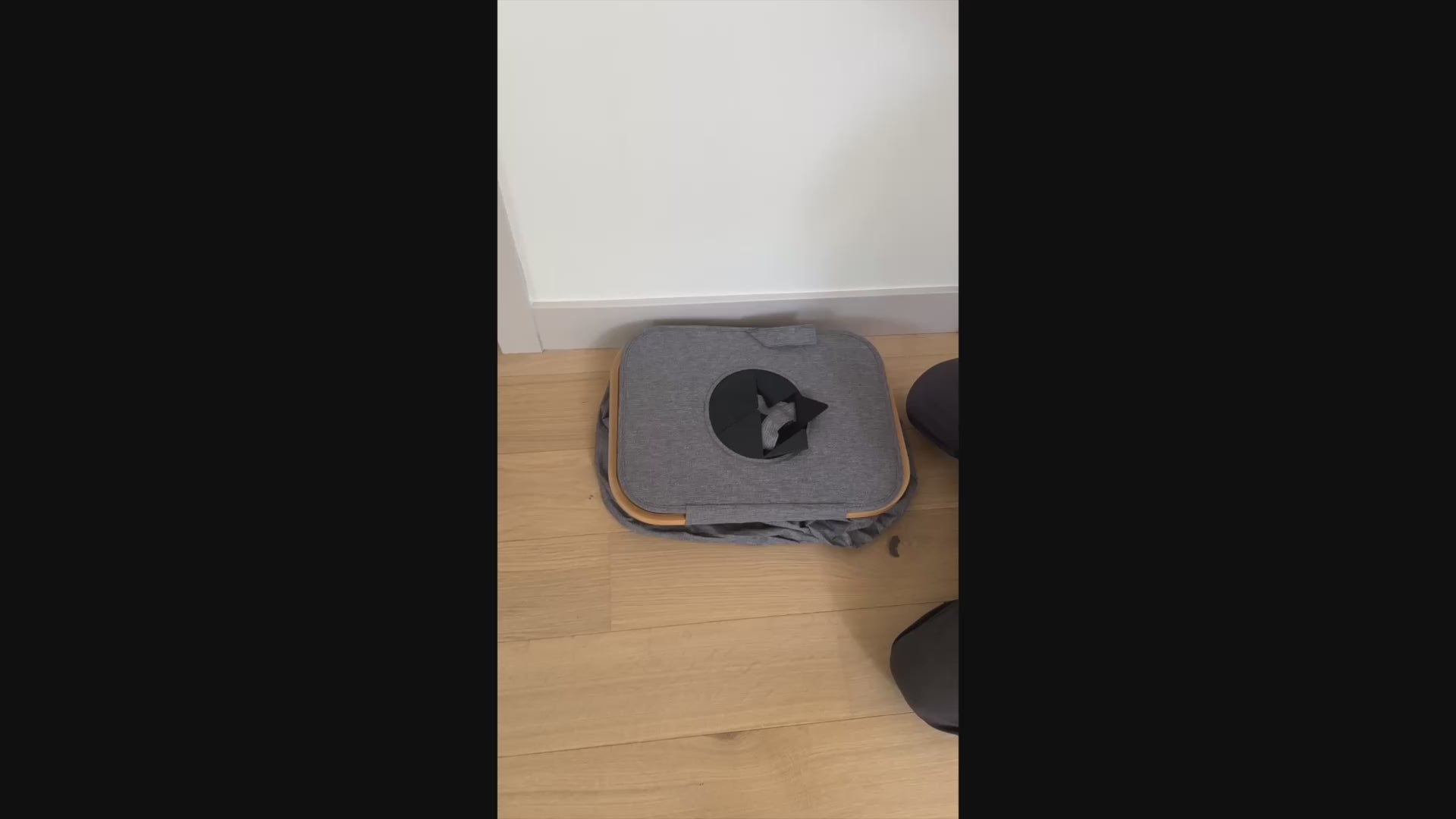 Load video: 
